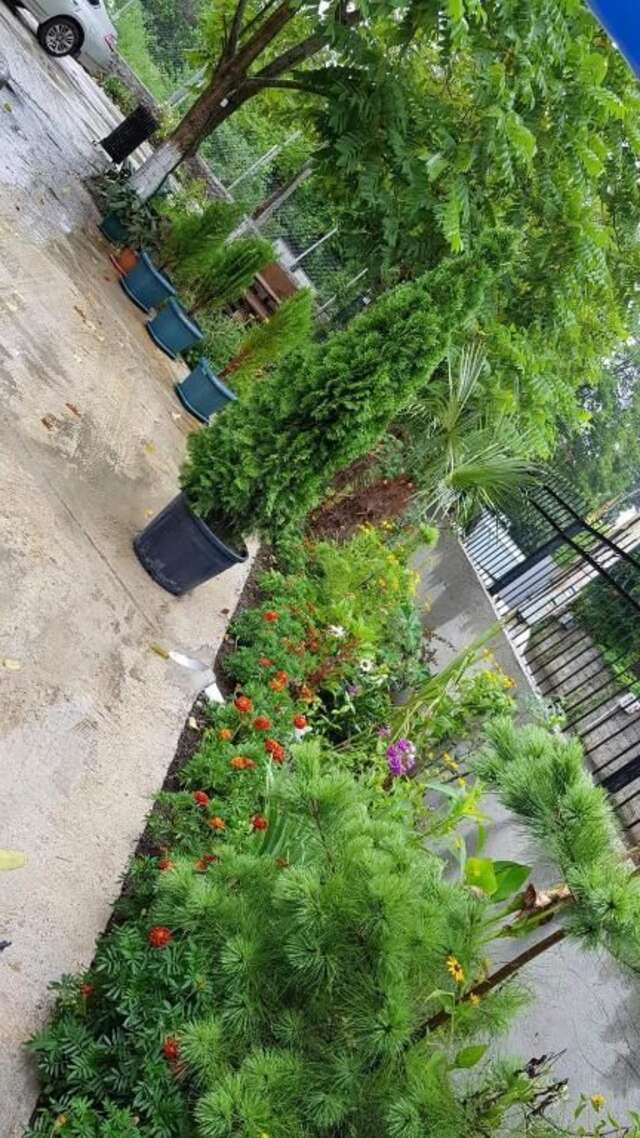 Гостевой дом Pavillion Guest House Батуми-74